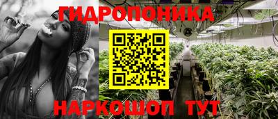 ГАЛЛЮЦИНОГЕННЫЕ ГРИБЫ Ставрополь