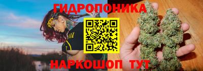 ГАЛЛЮЦИНОГЕННЫЕ ГРИБЫ Ставрополь