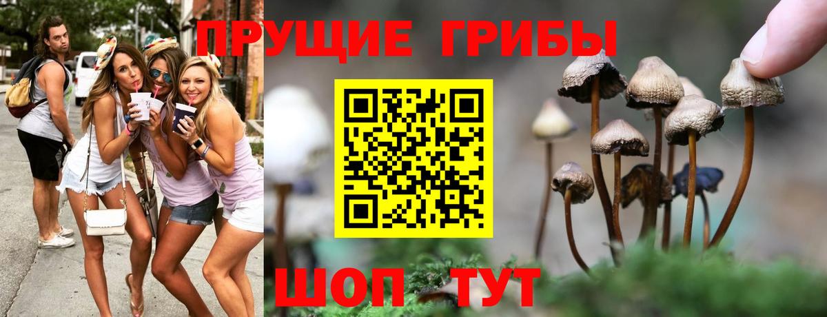 Псилоцибиновые грибы мицелий  Вход с VPN  Наро-Фоминск 